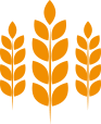 gluten icon